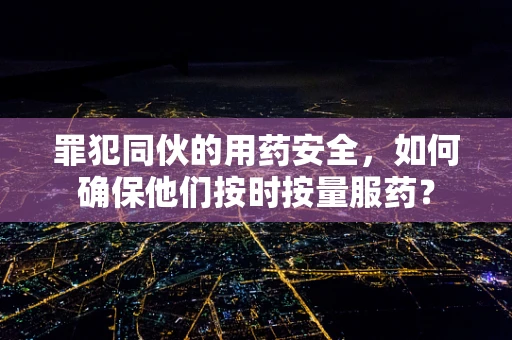 罪犯同伙的用药安全，如何确保他们按时按量服药？