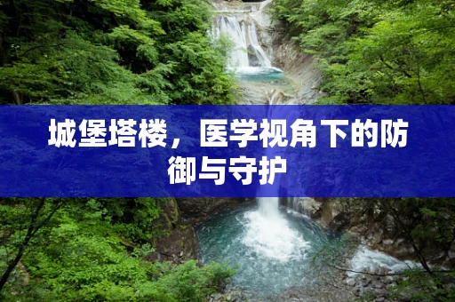 城堡塔楼，医学视角下的防御与守护