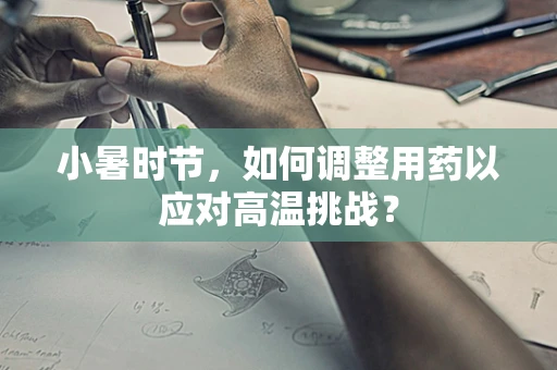 小暑时节，如何调整用药以应对高温挑战？
