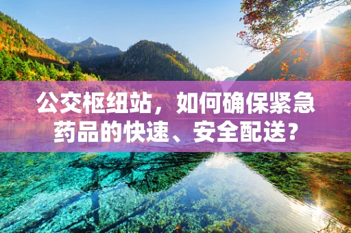 公交枢纽站，如何确保紧急药品的快速、安全配送？