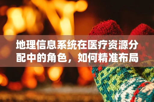 地理信息系统在医疗资源分配中的角色，如何精准布局，提升医疗服务效率？