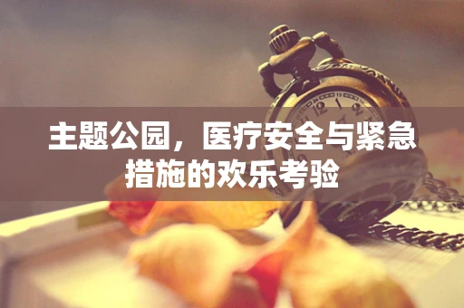 主题公园，医疗安全与紧急措施的欢乐考验
