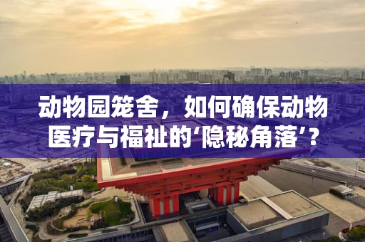 动物园笼舍，如何确保动物医疗与福祉的‘隐秘角落’？