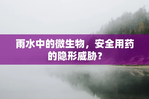 雨水中的微生物，安全用药的隐形威胁？