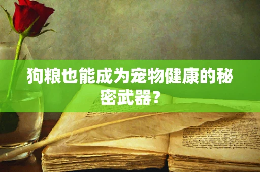 狗粮也能成为宠物健康的秘密武器？
