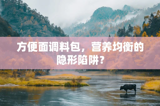 方便面调料包，营养均衡的隐形陷阱？