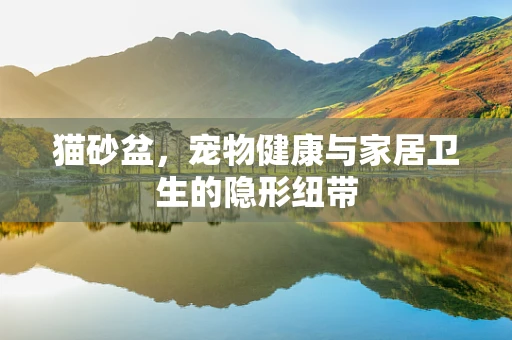 猫砂盆，宠物健康与家居卫生的隐形纽带