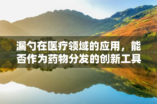 漏勺在医疗领域的应用，能否作为药物分发的创新工具？