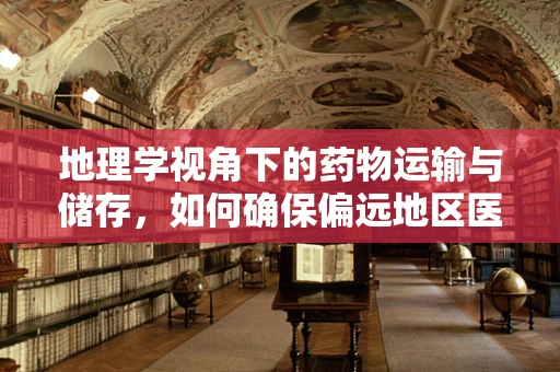 地理学视角下的药物运输与储存，如何确保偏远地区医疗资源的均衡？