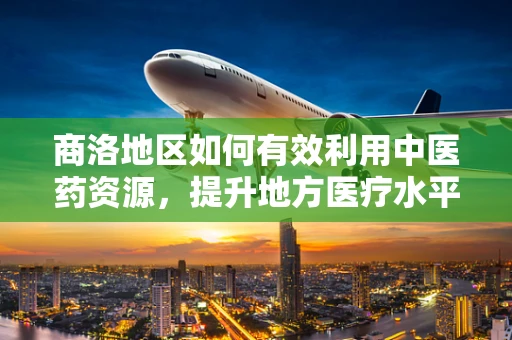 商洛地区如何有效利用中医药资源，提升地方医疗水平？