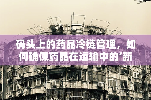 码头上的药品冷链管理，如何确保药品在运输中的‘新鲜’？