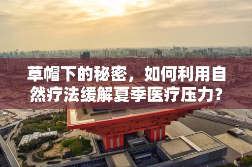 草帽下的秘密，如何利用自然疗法缓解夏季医疗压力？