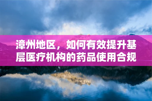 漳州地区，如何有效提升基层医疗机构的药品使用合规性？