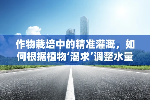 作物栽培中的精准灌溉，如何根据植物‘渴求’调整水量？