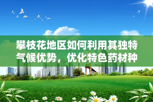 攀枝花地区如何利用其独特气候优势，优化特色药材种植与开发？
