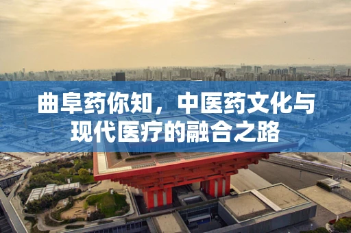 曲阜药你知，中医药文化与现代医疗的融合之路