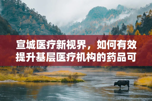 宣城医疗新视界，如何有效提升基层医疗机构的药品可及性与使用效率？