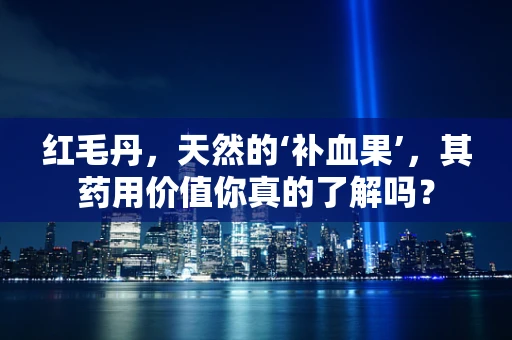 红毛丹，天然的‘补血果’，其药用价值你真的了解吗？