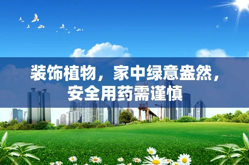 装饰植物，家中绿意盎然，安全用药需谨慎