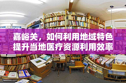 嘉峪关，如何利用地域特色提升当地医疗资源利用效率？