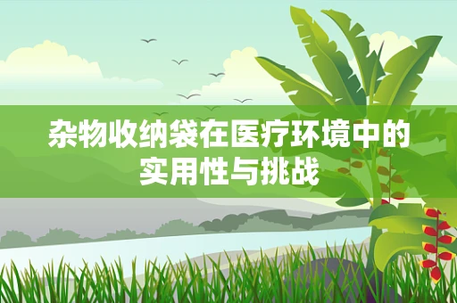 杂物收纳袋在医疗环境中的实用性与挑战