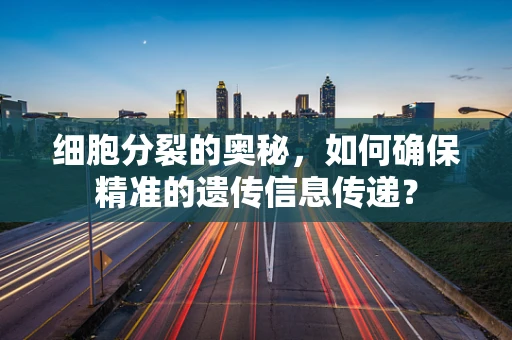 细胞分裂的奥秘，如何确保精准的遗传信息传递？
