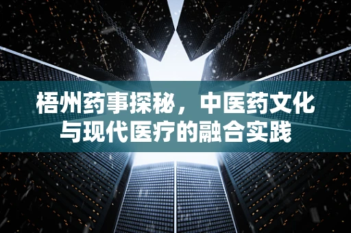 梧州药事探秘，中医药文化与现代医疗的融合实践