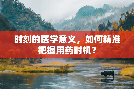 时刻的医学意义，如何精准把握用药时机？