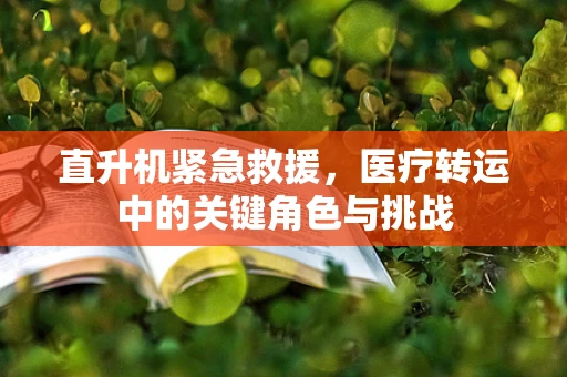 直升机紧急救援，医疗转运中的关键角色与挑战