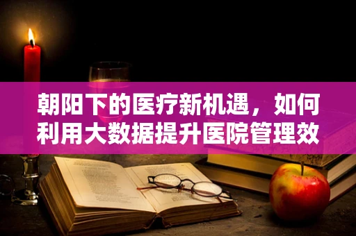 朝阳下的医疗新机遇，如何利用大数据提升医院管理效率？