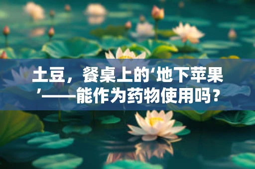 土豆，餐桌上的‘地下苹果’——能作为药物使用吗？