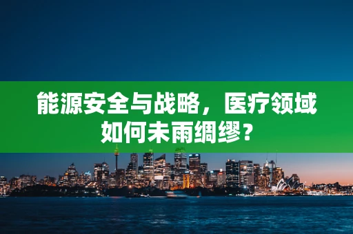 能源安全与战略，医疗领域如何未雨绸缪？