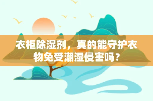 衣柜除湿剂，真的能守护衣物免受潮湿侵害吗？