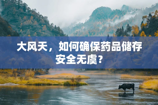 大风天，如何确保药品储存安全无虞？