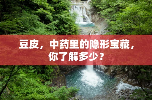豆皮，中药里的隐形宝藏，你了解多少？