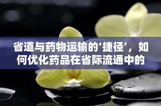 省道与药物运输的‘捷径’，如何优化药品在省际流通中的效率？