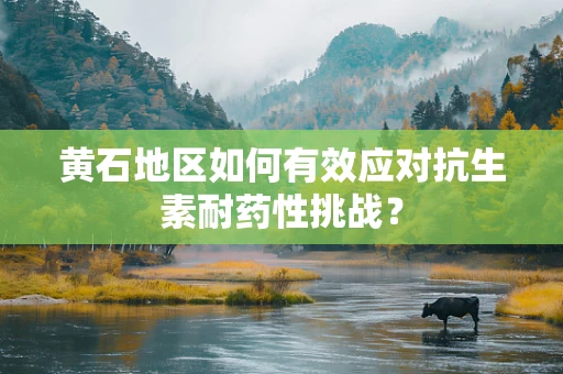 黄石地区如何有效应对抗生素耐药性挑战？