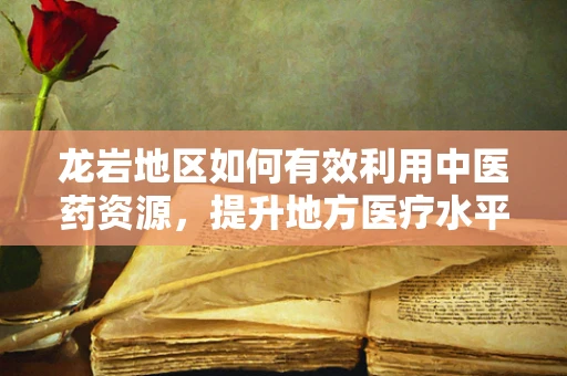 龙岩地区如何有效利用中医药资源，提升地方医疗水平？