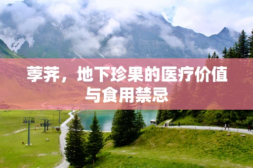 荸荠，地下珍果的医疗价值与食用禁忌