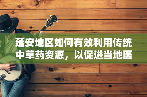 延安地区如何有效利用传统中草药资源，以促进当地医药产业发展？