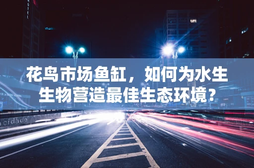 花鸟市场鱼缸，如何为水生生物营造最佳生态环境？
