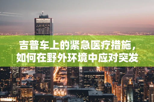 吉普车上的紧急医疗措施，如何在野外环境中应对突发状况？