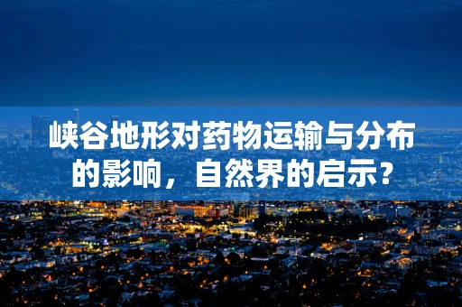 峡谷地形对药物运输与分布的影响，自然界的启示？