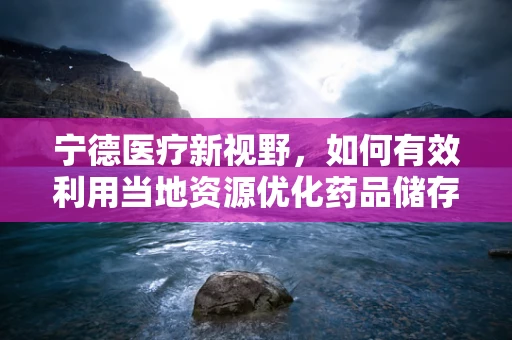 宁德医疗新视野，如何有效利用当地资源优化药品储存与物流管理？