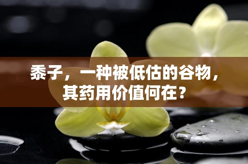黍子，一种被低估的谷物，其药用价值何在？