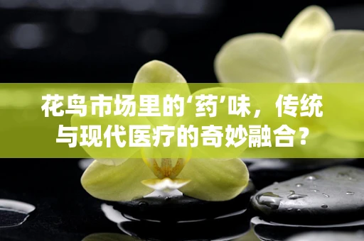 花鸟市场里的‘药’味，传统与现代医疗的奇妙融合？