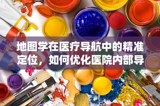 地图学在医疗导航中的精准定位，如何优化医院内部导航系统？