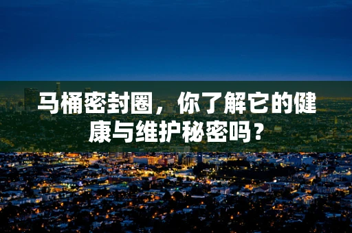 马桶密封圈，你了解它的健康与维护秘密吗？
