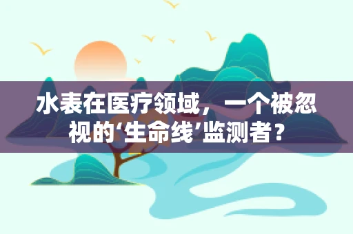 水表在医疗领域，一个被忽视的‘生命线’监测者？