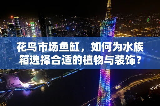 花鸟市场鱼缸，如何为水族箱选择合适的植物与装饰？